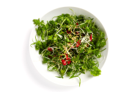 Scallion Salad Recipe | Bon Appétit image