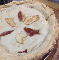 Aunt Shirley's Dietetic Pie Recipe | Allrecipes image