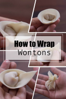HOW TO FOLD A WONTON FOR FRYING RECIPES