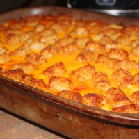 SHEPHERD'S PIE WITH TATER TOTS AND MUSHROOM SOUP RECIPES