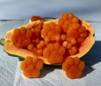 Can Dogs Eat Papaya? Pros & Cons + 3 Best Recipes Included! image