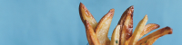 Twice-Cooked French Fries Recipe | Epicurious image