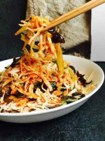 Spicy Shredded Chicken recipe - Simple Chinese Food image