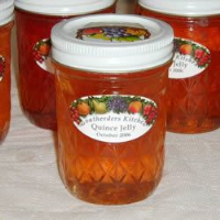 QUINCE JELLY RECIPES