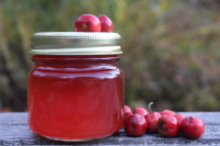 Homemade Hawthorn Jelly - Practical Self Reliance image