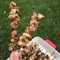 Grilled Chicken Kebabs Marinated In Italian Dressing ... image