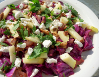 Warm Red Cabbage Salad Recipe - Food.com image