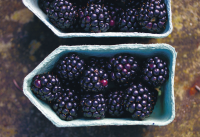 Blackberry and Gin Jam Recipe | Autumn Preserve Recipe image