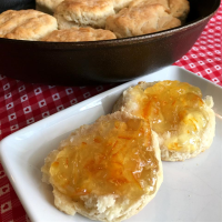 BISCUITS IN CAST IRON SKILLET RECIPES