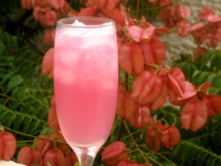 PINK ICE RECIPES