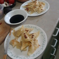 GYOZA WRAPPERS SUBSTITUTE RECIPES