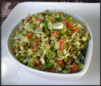 Indian Sprouted Lentil Salad Recipe - Food.com image