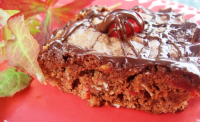 Chocolate-Cherry Brownies Recipe - Food.com image