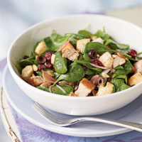 Bread Salad with Cranberries, Spinach, & Chicken Recipe ... image