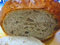 Sourdough (Wild Yeast) Bread Recipe - Food.com image