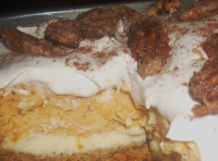 Kellie's Layered Sweet Potato Cheesecake | Just A Pinch ... image