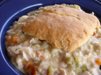 Old Time Chicken and Biscuits Recipe - Food.com image