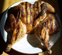 Nif's Butterflied Grilled Whole Chicken Recipe - Food.com image
