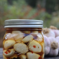 How to Make Pickled Garlic - practicalselfreliance.com image
