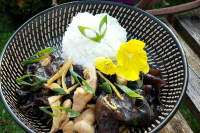 Stir Fried Chicken with Ginger and Black Fungus | Asian ... image