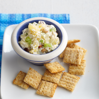 CHEESE DIP CRACKERS RECIPES
