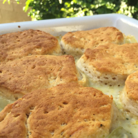 Easy Chicken and Biscuits Recipe | Allrecipes image