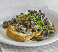 Creamy mustard mushrooms on toast with a glass of juice ... image