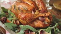 Duke's Classic Roasted Turkey – Duke's Mayo image