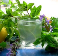 Lemon Verbena and Mint Tea - Food.com - Recipes, Food ... image