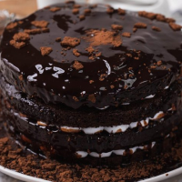Chocolate Tsunami Cake (Pull Me Up Cake) image