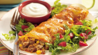 BEEF ENCHILADAS WITH GREEN SAUCE RECIPES