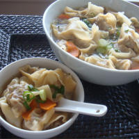 HOW TO MAKE WONTON SOUP FROM SCRATCH RECIPES