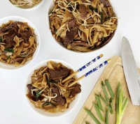 AUTHENTIC BEEF CHOW FUN RECIPE RECIPES