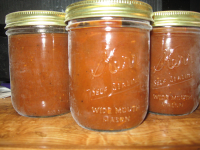 Barbecue Sauce for Canning Recipe - Food.com image