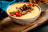 PULLED PORK QUESO DIP RECIPES