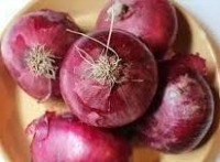 Refrigerator Pickled Onions | Just A Pinch Recipes image