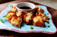 WHAT TO EAT WITH WONTONS RECIPES