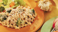GROUND BEEF WITH ALFREDO SAUCE RECIPES