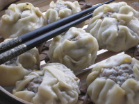 RECIPE FOR WONTON WRAPPERS RECIPES