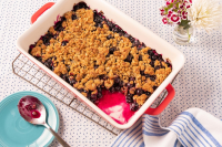 Blueberry Crumble Recipe - The Pioneer Woman image