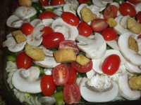 Chicken and Pasta Salad With Raw Vegetables Recipe - Food.com image