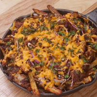 PULLED PORK CHEESE FRIES RECIPES