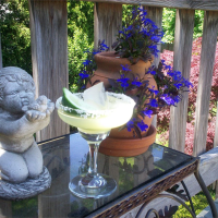 Austin Margarita (aka Mexican Martini) Recipe | Allrecipes image
