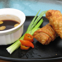 EGG ROLL SKIN INGREDIENTS RECIPES