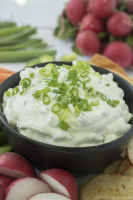 SOUR CREAM AND GREEN ONION DIP RECIPES
