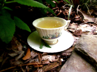 Sage Tea Recipe - Food.com image