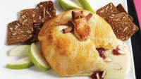 BAKED BRIE IN PIE CRUST RECIPES