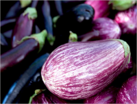 Roasted Eggplant Recipe - NYT Cooking image