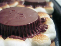 Smores With Reese's Cups Recipe - Food.com image
