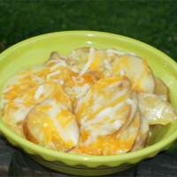Quick and Easy Cheesy Red Scalloped Potatoes Recipe ... image